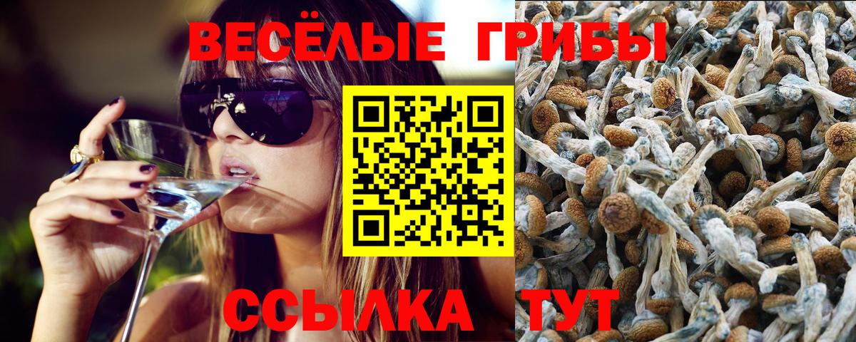 Еманжелинск  Галлюциногенные грибы прущие грибы  Псилоцибиновые грибы мицелий  Вход с VPN 